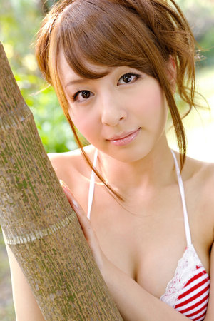 男男gay同志视频