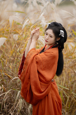 万万没想到西游篇