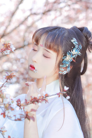 最近韩国电影高清免费观看bd