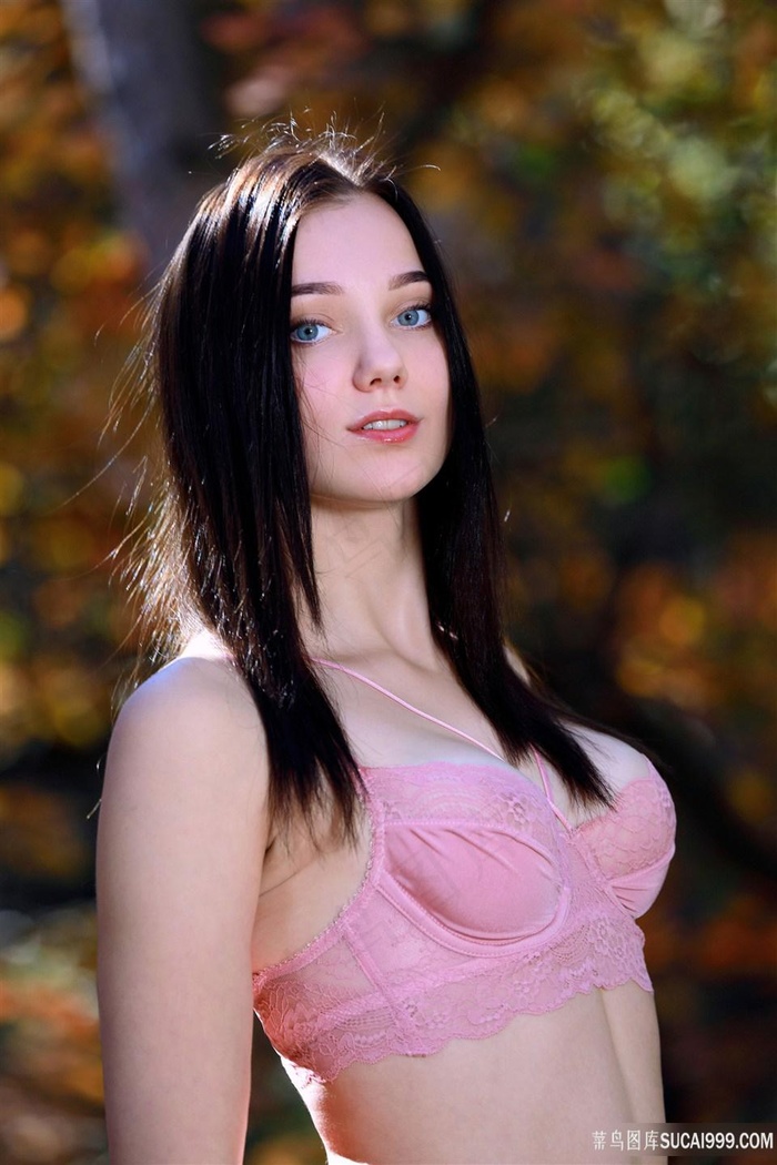 泰山与珍妮英文