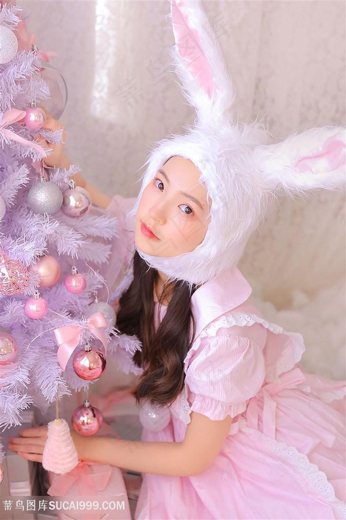 风满楼电视剧免费观看