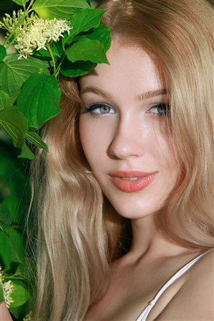 紧急公关在线观看免费完整版