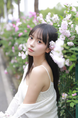 一起又看流星雨全集大结局