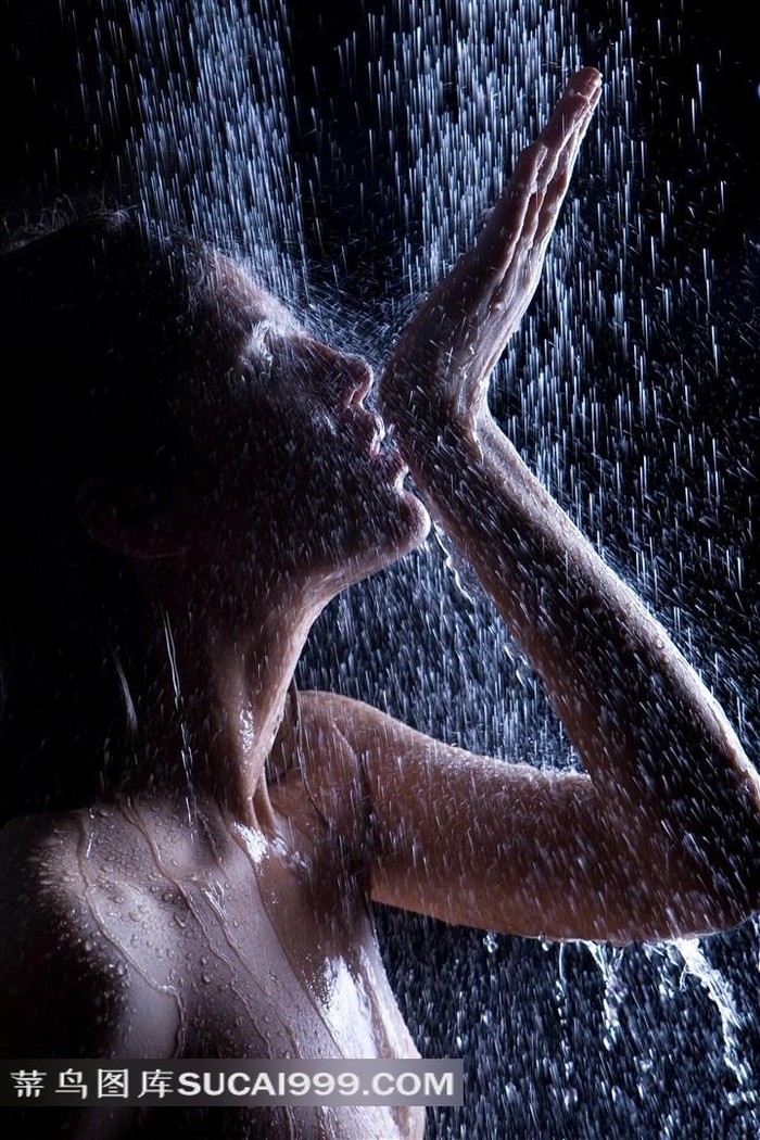 精品视频一区二区观看